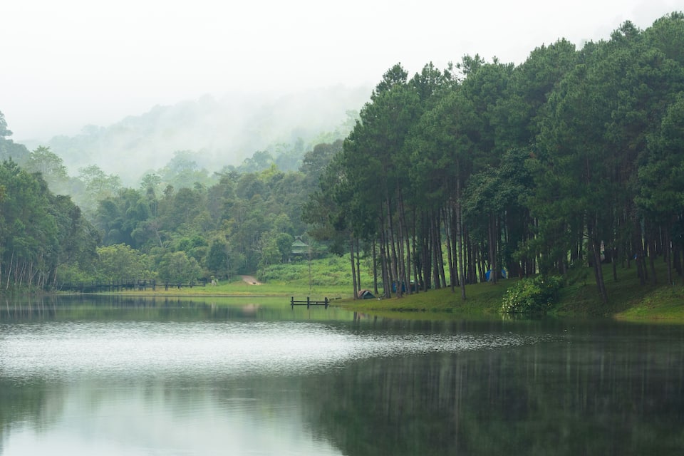 Un lago tranquillo circondato da una fitta foresta e da montagne avvolte nella nebbia.