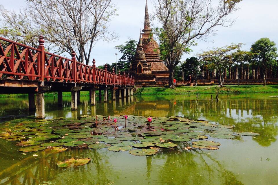 A bridge over a pond with lotus flowers, a pagoda, and trees.