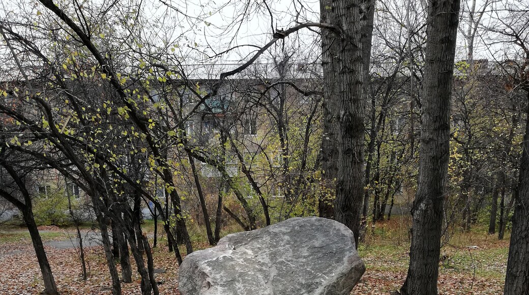 Гранит науки