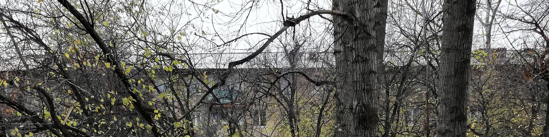 Гранит науки