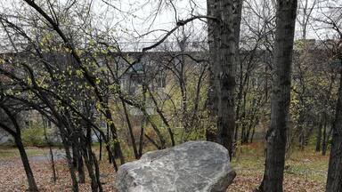 Гранит науки