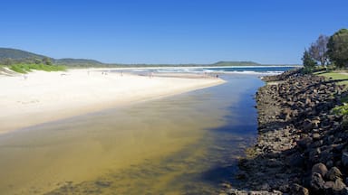 Crescent Heads, Australia, Shutterstock ID 614650025, Purchase Order: -