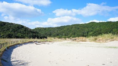 Hirota Site and seashore in Minamitane Town, Tanegashima Island, Kagoshima, Japan - 鹿児島 種子島 広田遺跡の海岸