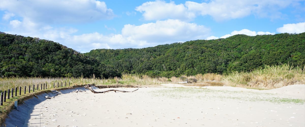 A sandy beach with a forested hill in the background.