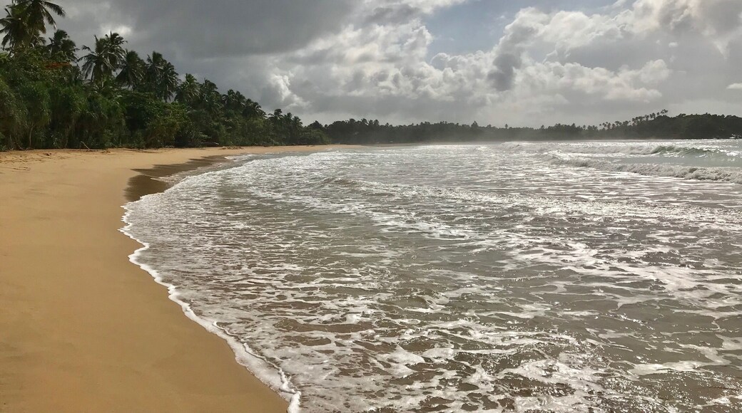 Beautiful beach @Talalla, Sri Lanka #beachtips #sunshine #lifeatexpedia