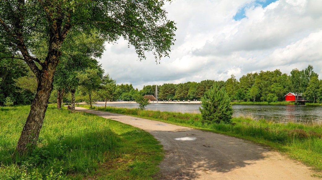 วีสโมร์