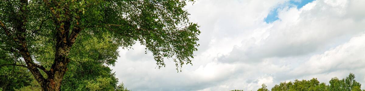 Ottermeer in Wiesmoor/Ostfriesland