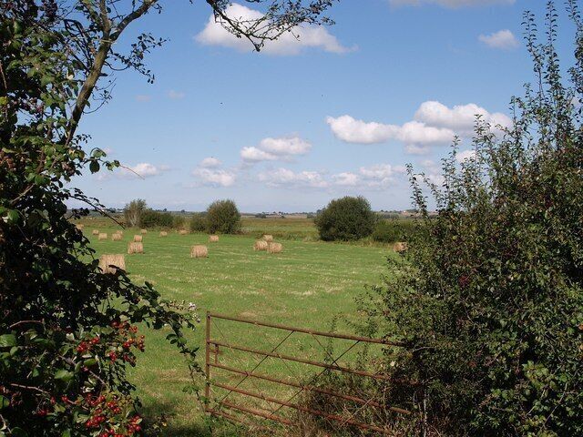 Ländliche Landschaft mit Heuballen auf einem Feld, einem Holztor und Bäumen im Vordergrund.
