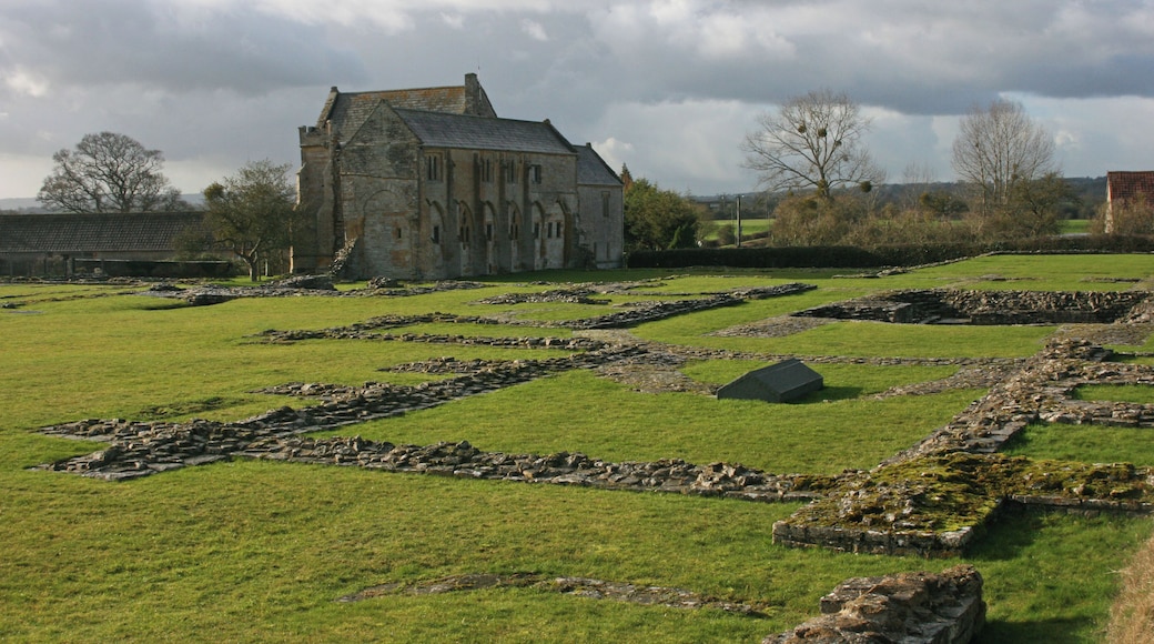 Muchelney Abbey ruins
