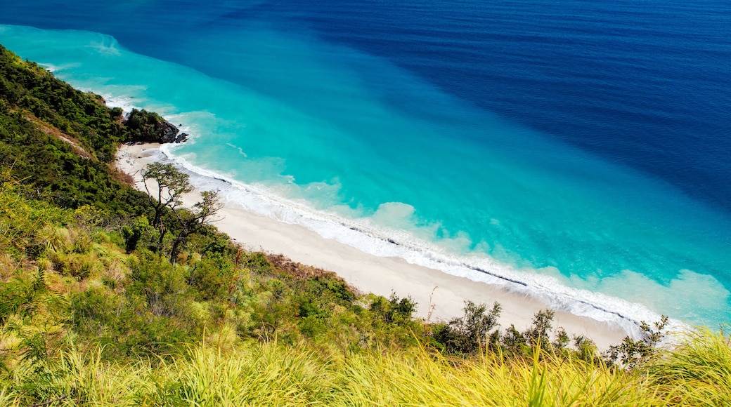 Pacific by Casiguran Sound