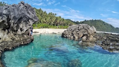 A clear turquoise sea surrounded by rocky formations and palm trees.