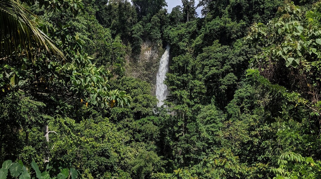 Surallah, South Cotobato, Philippines