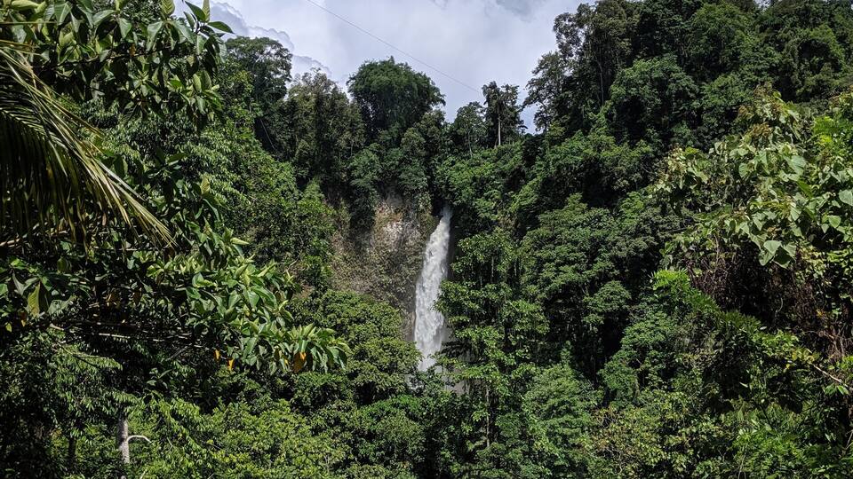 A lush green forest with a waterfall cascading down a cliff.