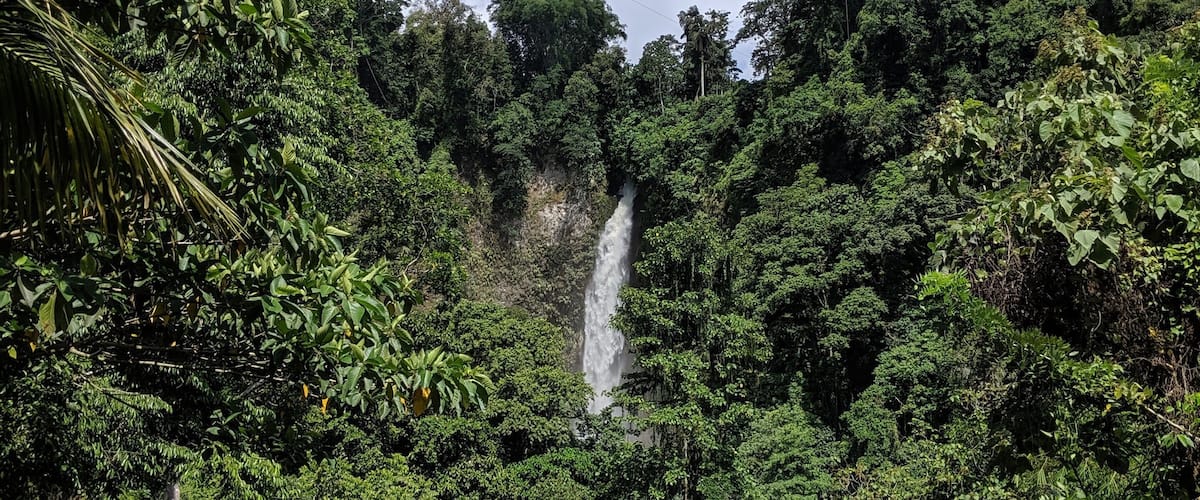 A lush green forest with a waterfall cascading down a cliff.
