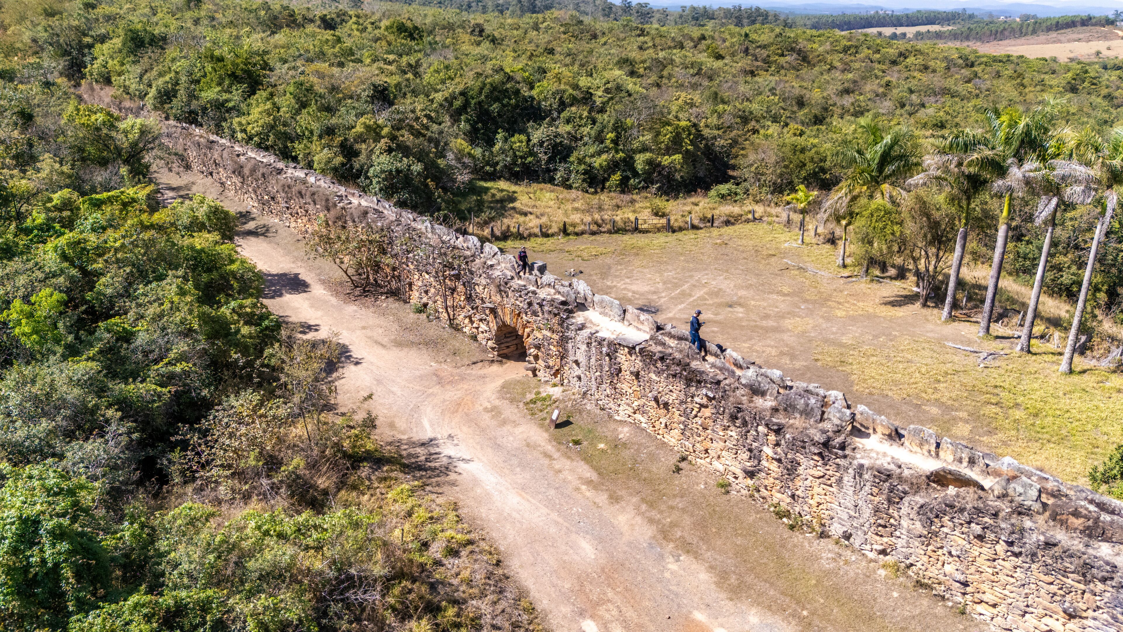 A stone wall with a dirt path running alongside it, surrounded by dense greenery and palm trees.