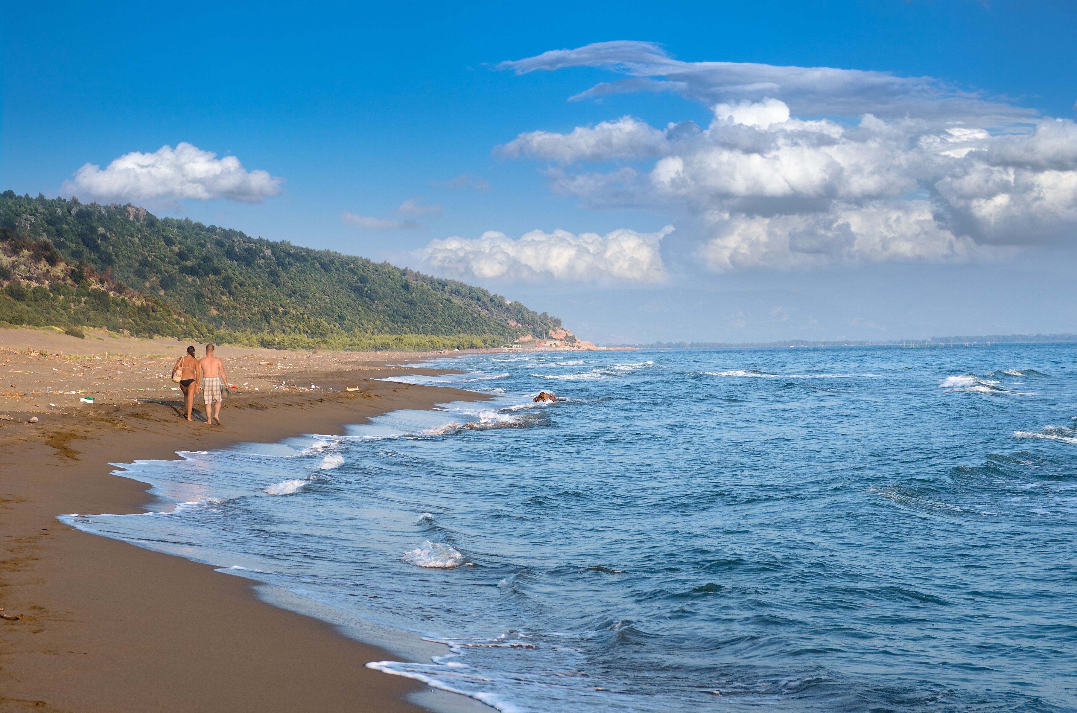 Uma praia com uma pessoa caminhando e um cão perto da água.