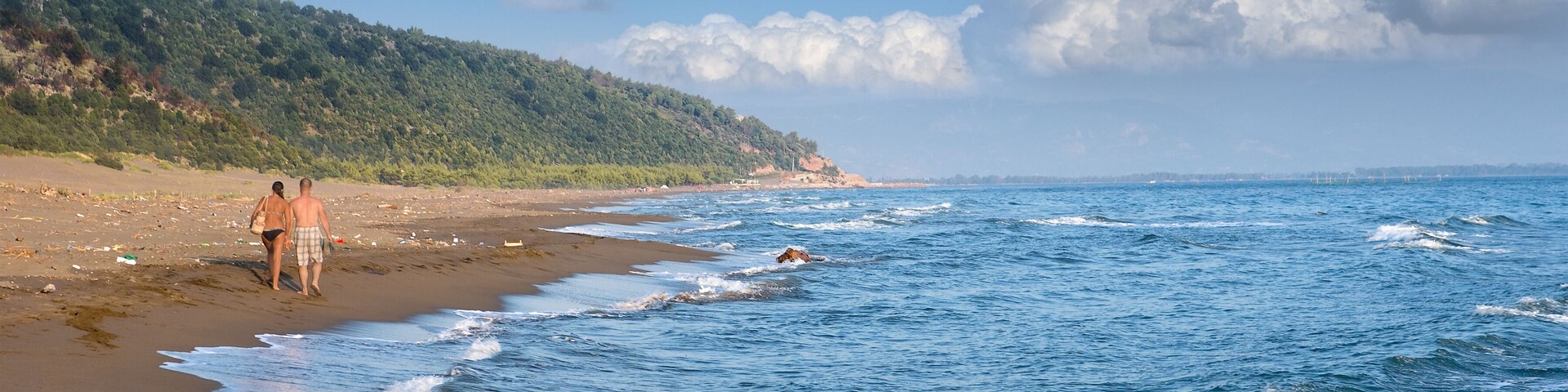 Uma praia com uma pessoa caminhando e um cão perto da água.