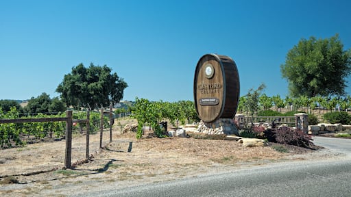 PasoRobles_CastoroCellarsWinery_6307793-7