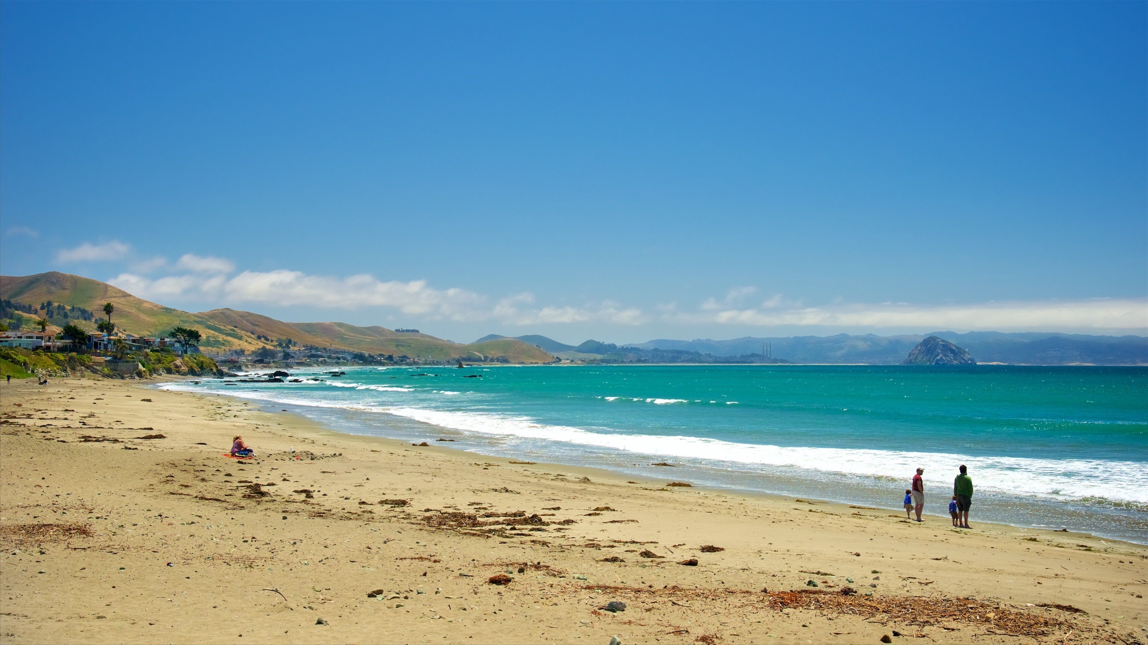 卡尤科斯州立海滩