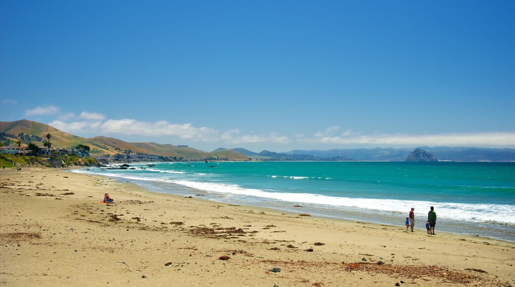 卡尤科斯州立海滩