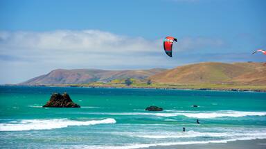 Playa estatal de Silver Strand