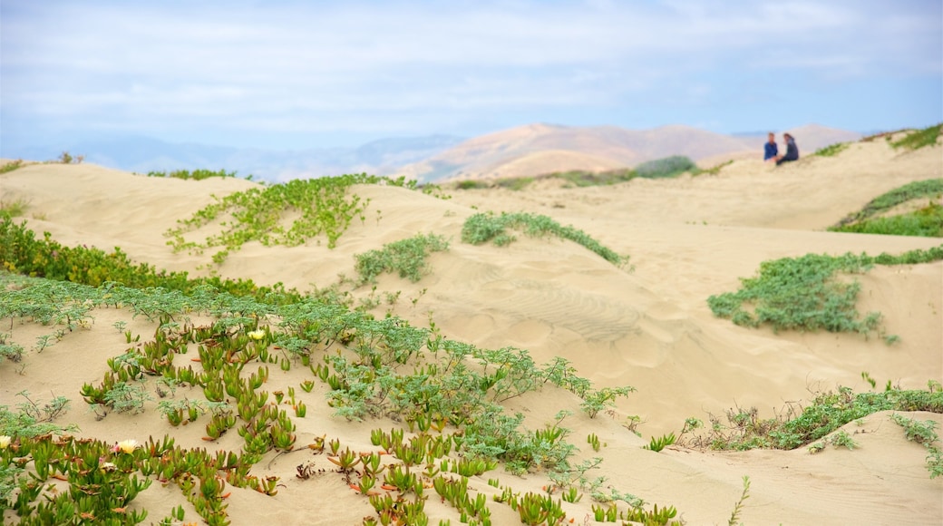 Morro Strand State Beach showing a beach and tranquil scenes