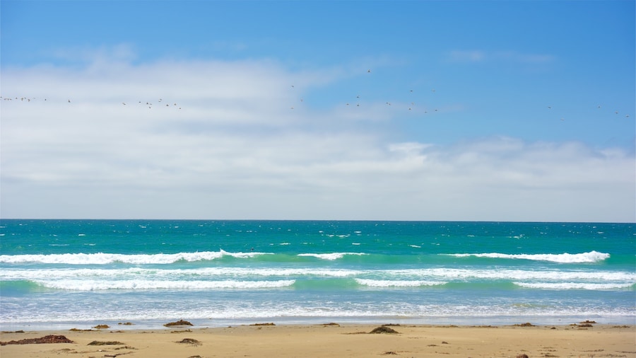 Morro Strand State Beach featuring general coastal views and a beach
