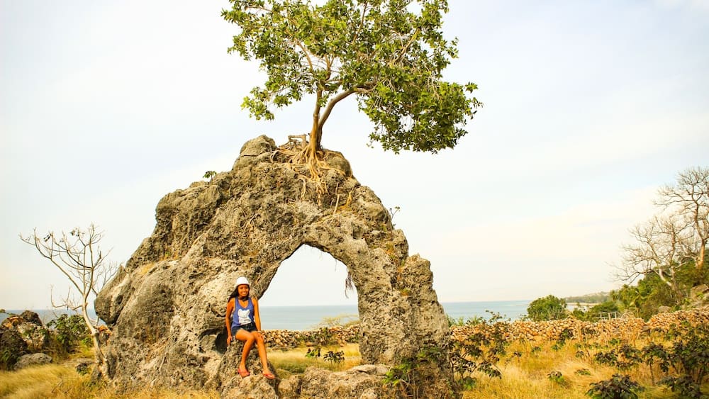 Beautiful limestone + tree in Wataboo coast #timorleste #tropical #outdoorlover #naturelover