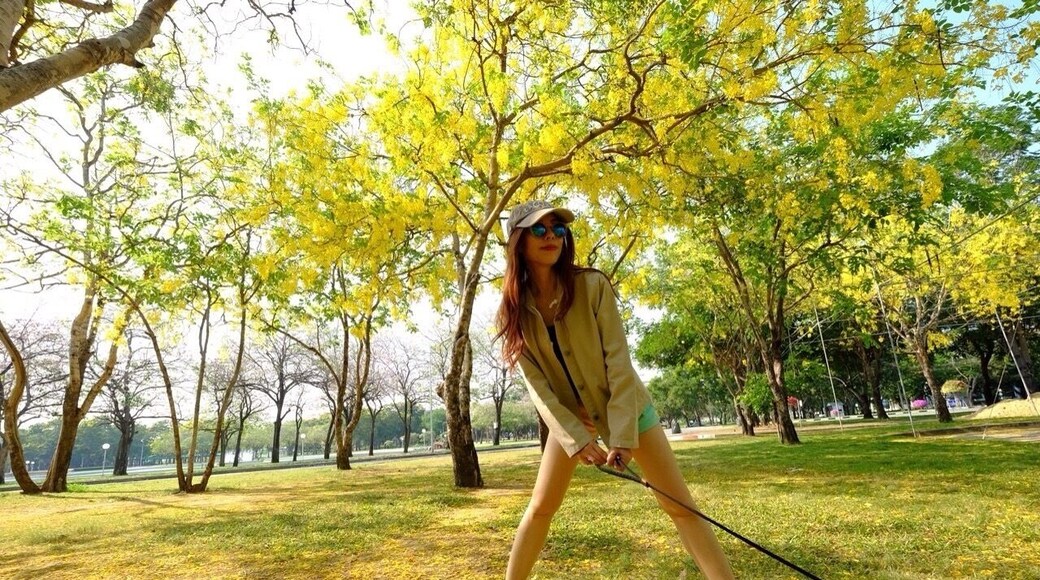 Walked the dog at Kasetsart University Nakhon Pratom , Thailand.........Golden Showers were blooming and the falling flowers made the ground looked like gold.These trees are always bloom in Summer at the same time !