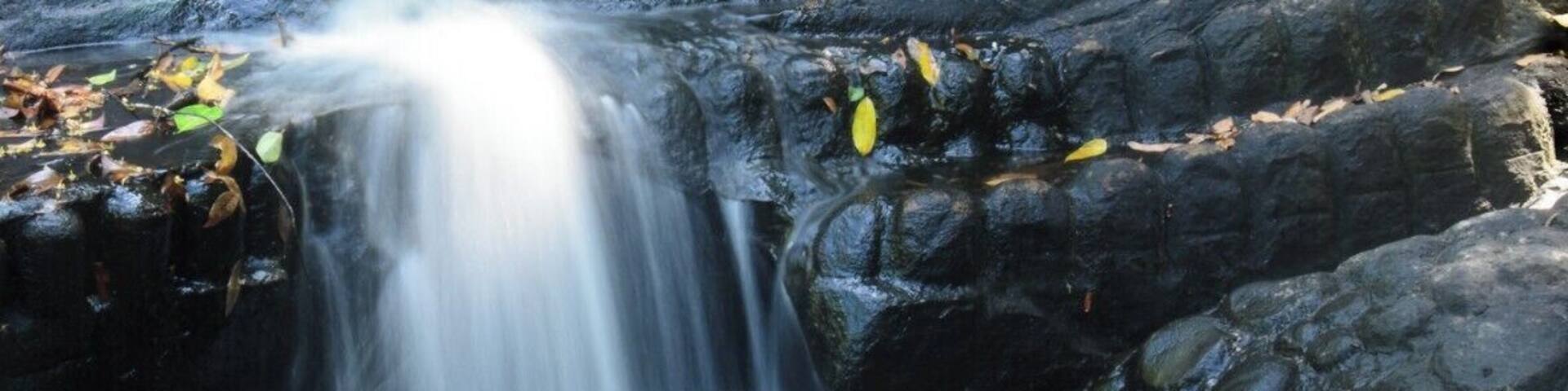 Many carvings along the river.