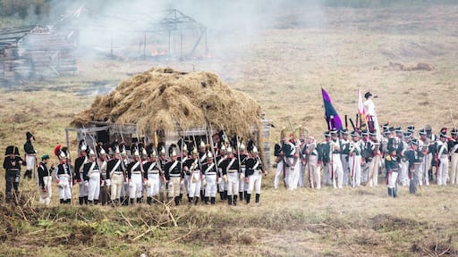 Each year, Borodino holds a reconstruction of the Battle of Borodino from the Napoleonic Wars, which saw Napoleon invade Russia.