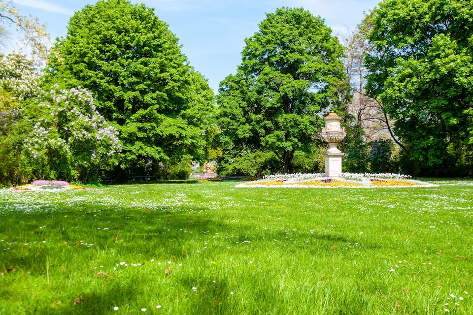 Een weelderig groen park met een fontein in het midden, omringd door witte bloemen en hoge bomen.
