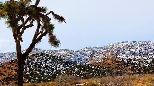 Out for a Sunday Dive in Pie Town