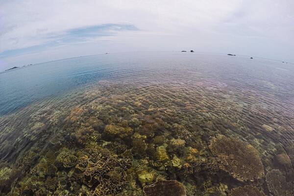 Paddling while low tide and got to see the corals all the way to the edge, which was about 500m away from the beach and into the sea. What a magnificent planet we live in! 💙