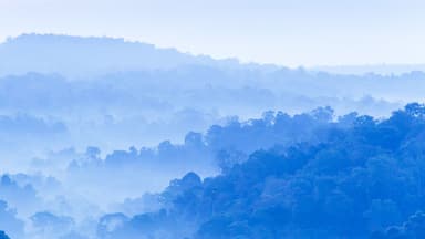 Scenery of blue mountain in the morning mist.