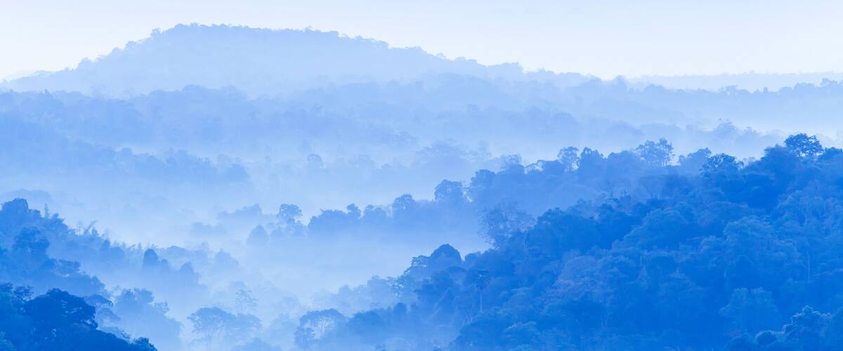 A misty forested mountain range.
