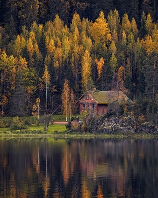 Autumn in Karelia