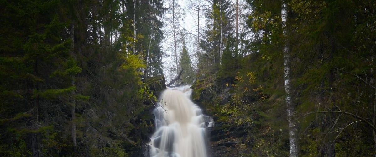 A waterfall in a forested area with moss-covered rocks and flowing water.