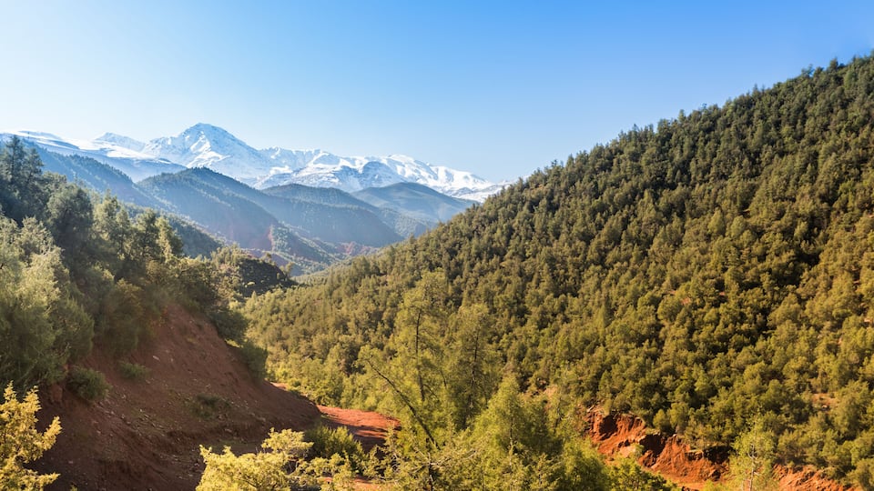 A mountainous landscape with dense forests and snow-capped peaks in the distance.