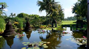 First of all, wow! This resort is absolutely gorgeous. And I mean GORGEOUS! If you ever have the chance, stay here! The pool that winds its way through stunning gardens, the gold course outback and the stunning grounds make it worth it. #hotel