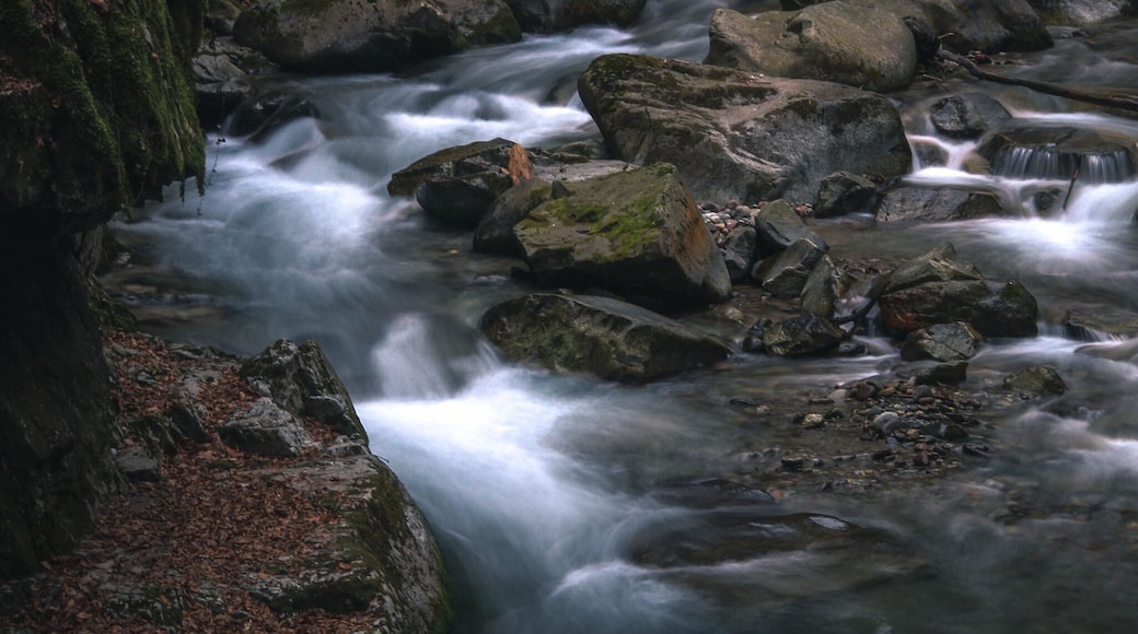 Gaulschlucht (Q49966998)