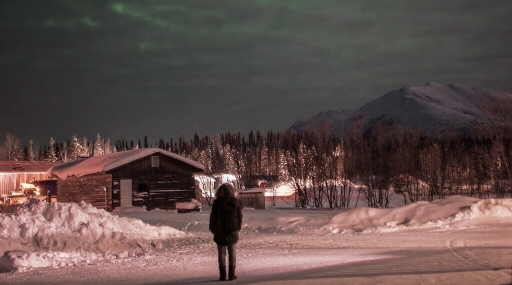 At the remotest and northernmost truck stop and living shelter, Coldfoot camp, 65 miles north of Arctic Circle, AK, USA. Withstanding a temperature of -27 degree celsius was painful yet fun as the lady aurora was playing hide and seek through the clouds! #WinterWonders