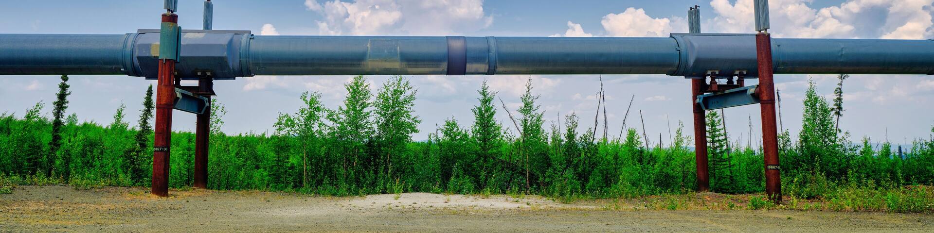Panoramic Image of the Trans-Alaska Oil Pipeline