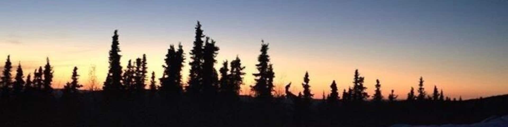 A stopover named, Livengood on the way to Joy, Alaska. #WinterWonders