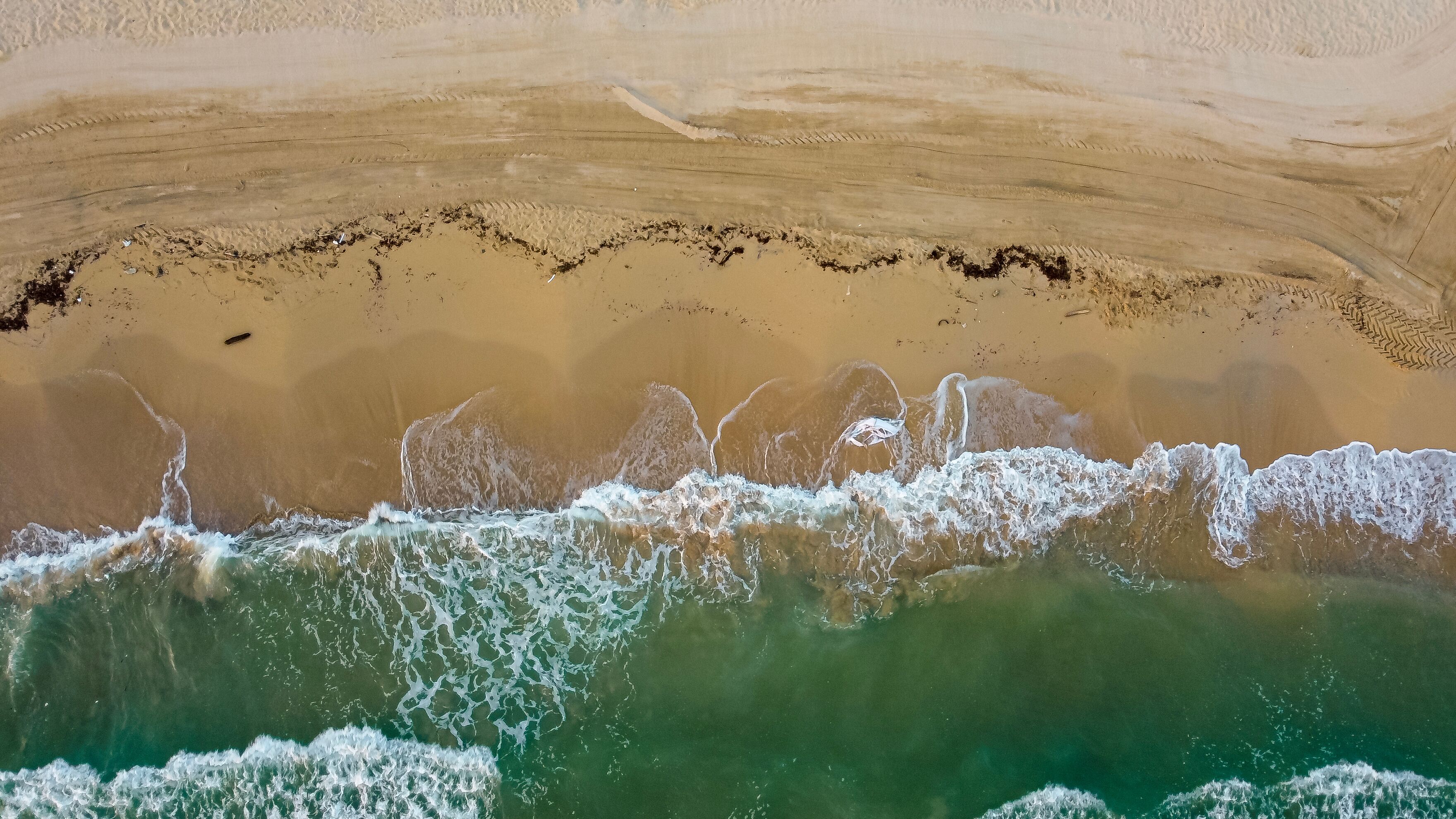 A beach with clear turquoise water, a sandy shore, and a distinct line of seaweed or debris in the water.