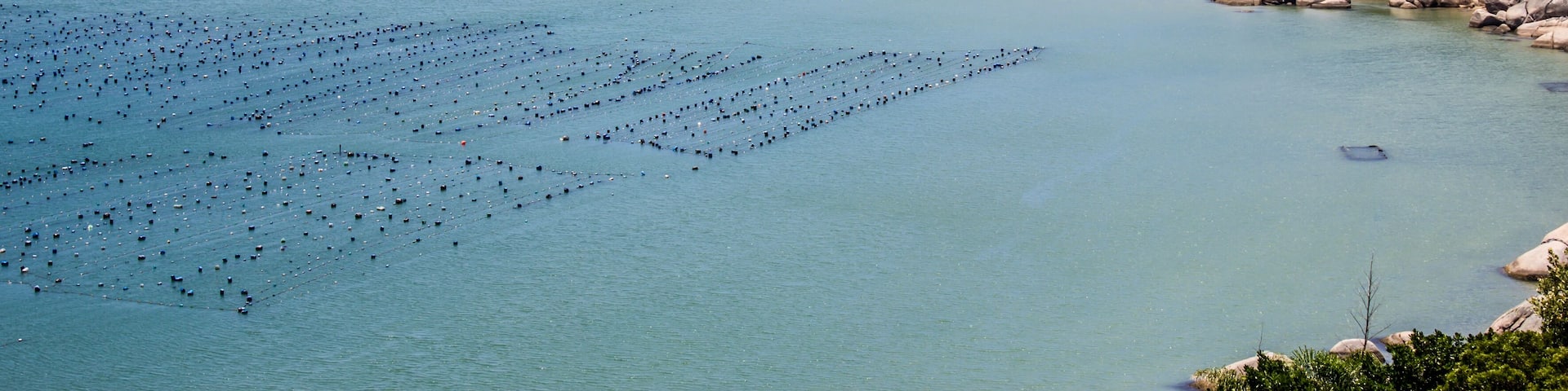 Canto Grande beach - Santa Catarina - Brazil; Shutterstock ID 246179092