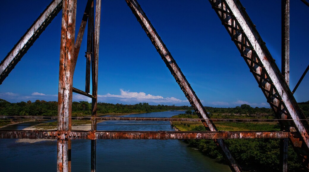 チャングイノラ