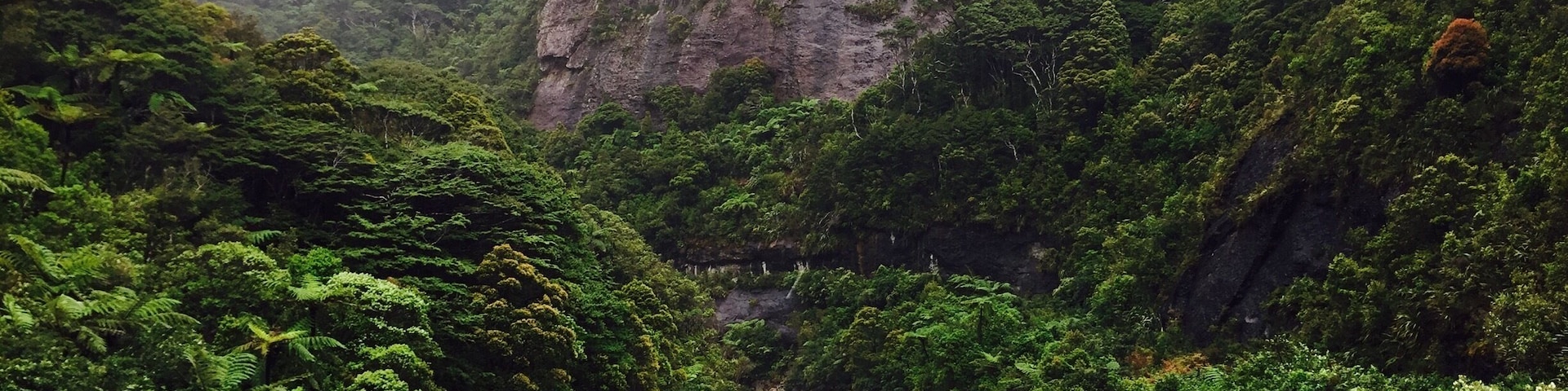 #newzealand #tenmilecreek