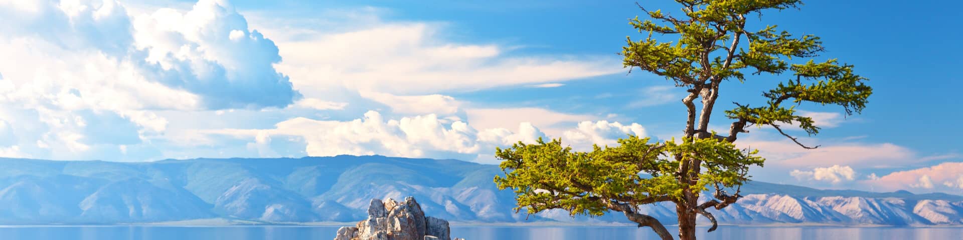 Baikal Lake. Olkhon Island. Beautiful old larch and Shamanka Rock on June afternoon