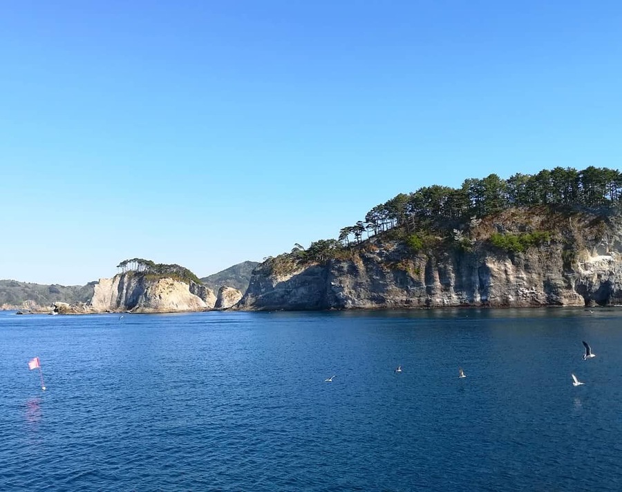 Jodogahama Beach
#Japan #Travel #Iwate #JodogahamaBeach